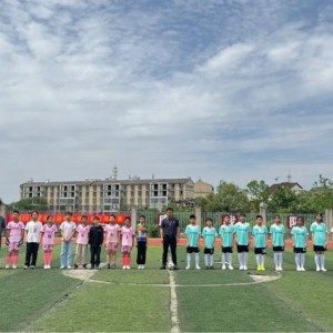 庐江县罗河镇店桥小学班级足球联赛火热开赛